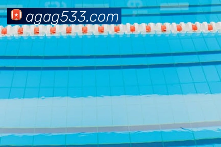 奖项证书